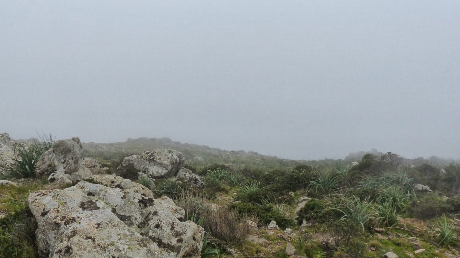 Marche matinale sous le brouillard au Mont Gozzi.