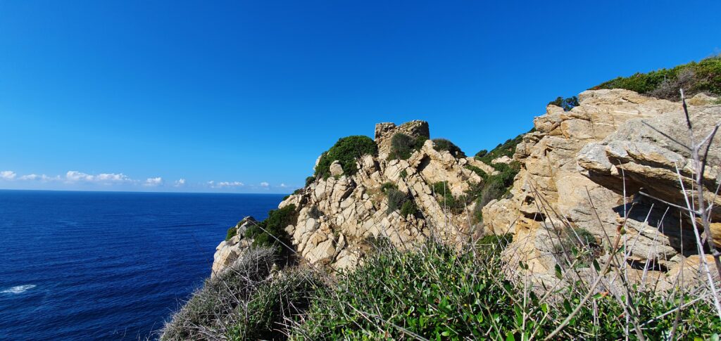 Ruines de l'ancienne tour génoise de Pellusela au golfe de Lava.
