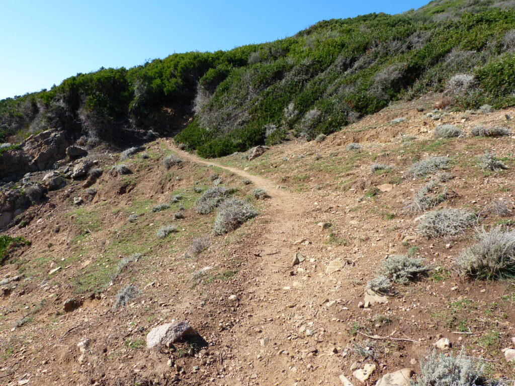 Sentier menant à la tour de Pellusela.
