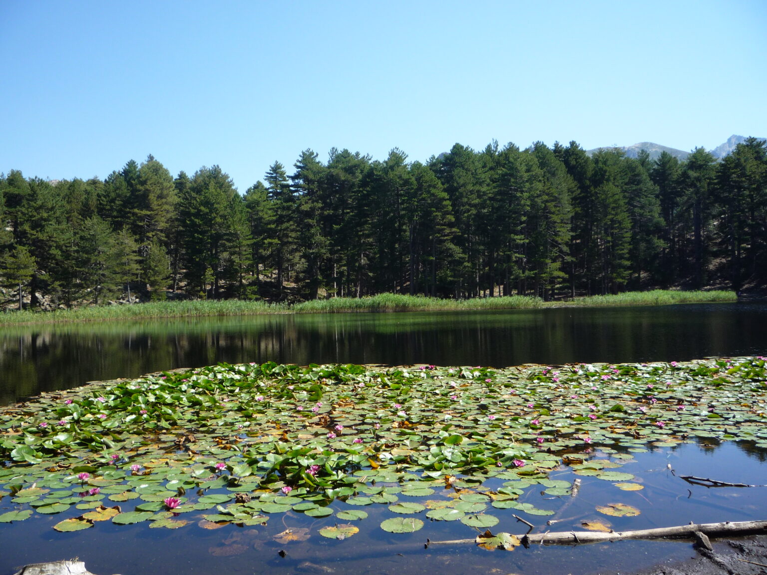 Lac de Creno 2