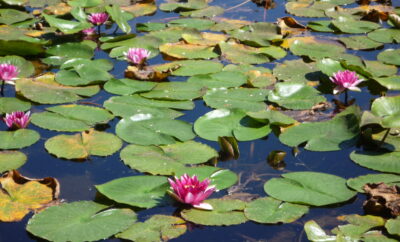 Lac de Creno