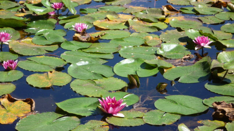 Lac de Creno