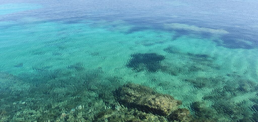 Fonds marins sublimes à la presqu'île d'Isolella.